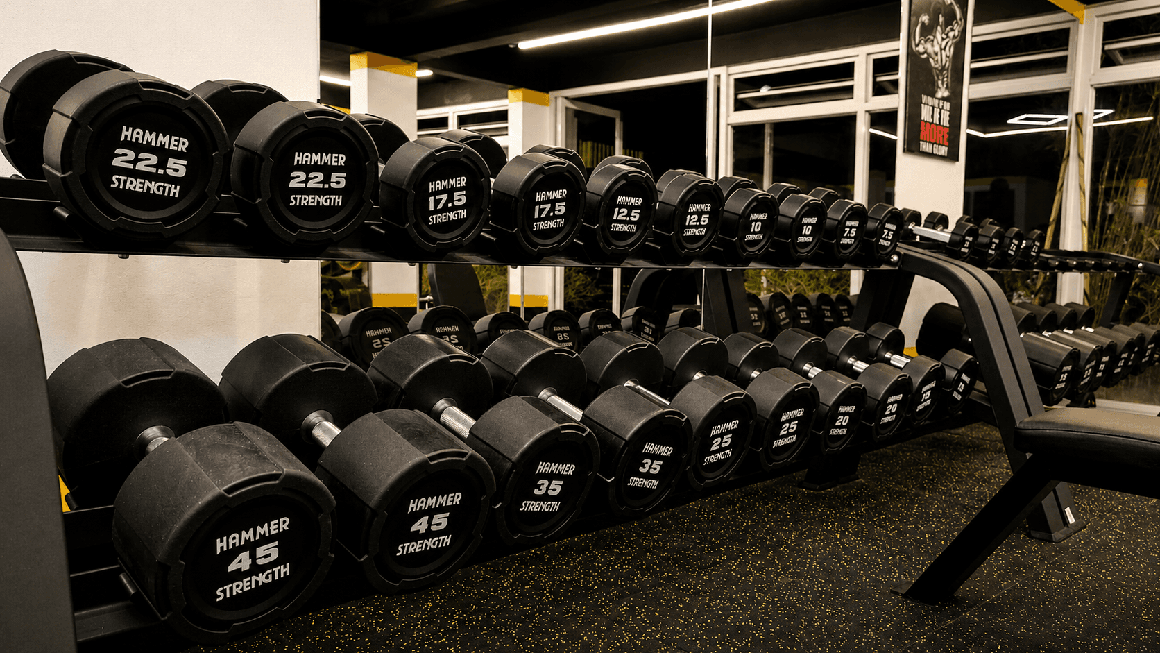 Muscle Gain / Weight Gain at ECG Fitness